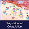 Regulators of Coagulation